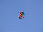 Spinning box kite from Costo.