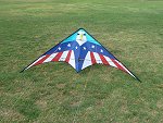 Eagle stunt kite from ebay.