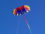 ITW Triton genki style kite with 15 foot fuzzy tail.