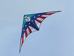 Eagle stunt kite from ebay.