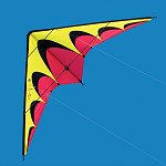 New Tech Kites Kratos two line stunt kite.